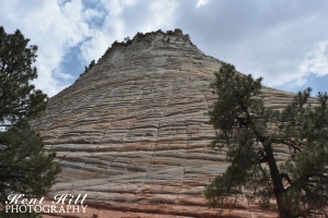 Checkerboard Mesa in Zion National Park Utah