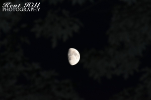 Moon over Evergreen Montana