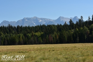 Big Meadow and the Livingston Range Glacier National Park Montana