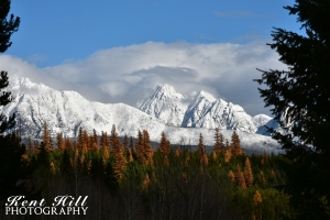 Larch and the Livingstone Range North Fork Flathead River Montana