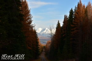 From Moose Creek Rd Looking East across the North Fork Valley 2 Montana