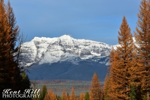 Looking Northeast on the North Fork Road Montana