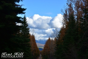From Moose Creek Rd Looking East across the North Fork Valley Montana