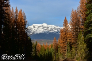 Looking Northeast on the North Fork Road 2 Montana