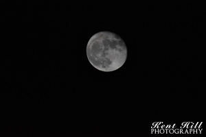 Super Moon over Evergreen Montana