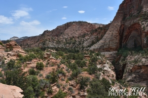 Trail to Zion Canyon Overlook Utah