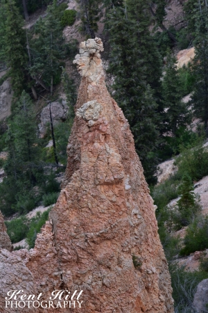 Black Birch Canyon at Bryce Canyon National Park Utah