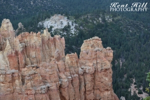 Ponderosa Point in Bryce Canyon National Park Utah