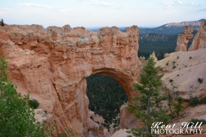 Natural Bridge 2 at Bryce Canyon National Park Utah