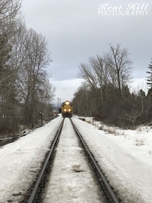 Train on tracks in Evergreen Montana