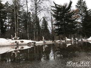 Reflections at Woodland Park Kalispell Montana