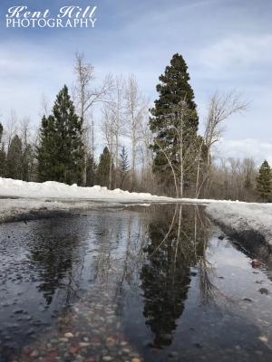 Reflections Kiwanis Lane Fishing Access Evergreen Montana