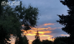 Sunset Evergreen, MT