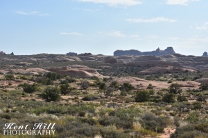 Petrified Dunes in Arches National Park Utah