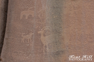 Petroglyphs 9 in Capitol Reef National Park Utah