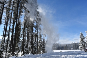 Snow blowing out of trees at Summit Lake on Hwy 83 MT