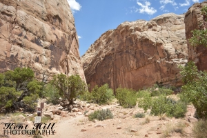 The Narrows in Capitol Reef National Park Utah